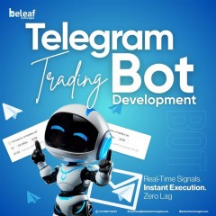 Custom Trading Bot Development vs Ready-Made Bots